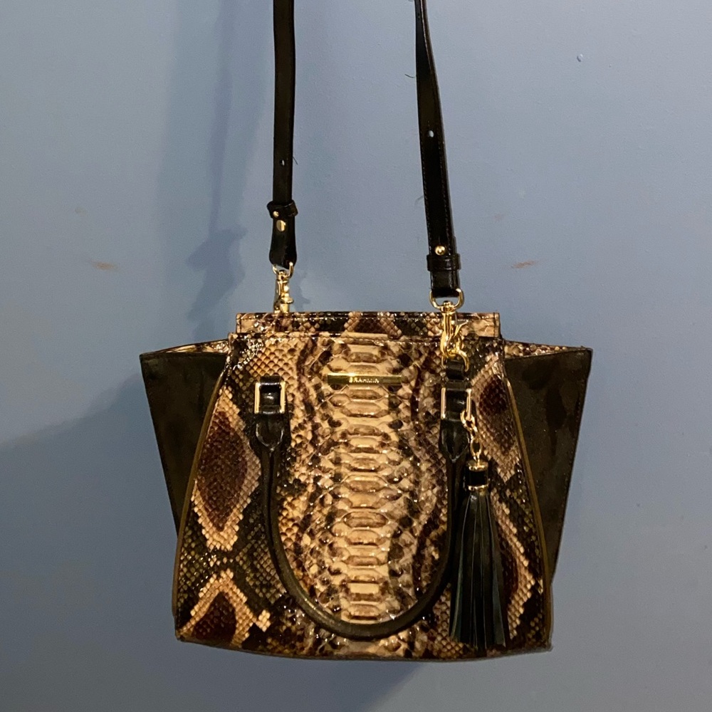 BRAHMIN 🤩 Snake print blocked gorgeous small bag!